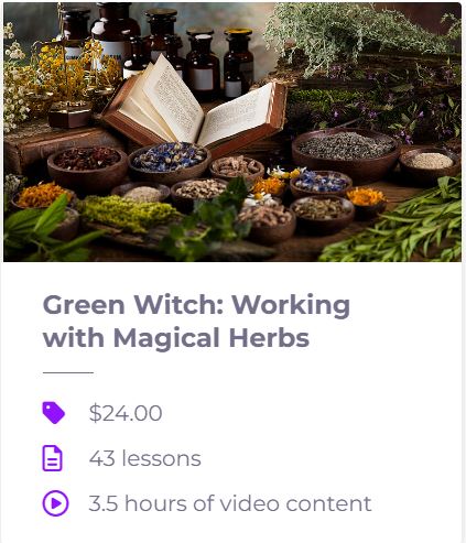 Green Witch Magical Herbs